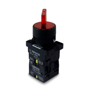 ひかる Kawasaki Zx-9r 900cc 1996 - 1391142710 | OLX